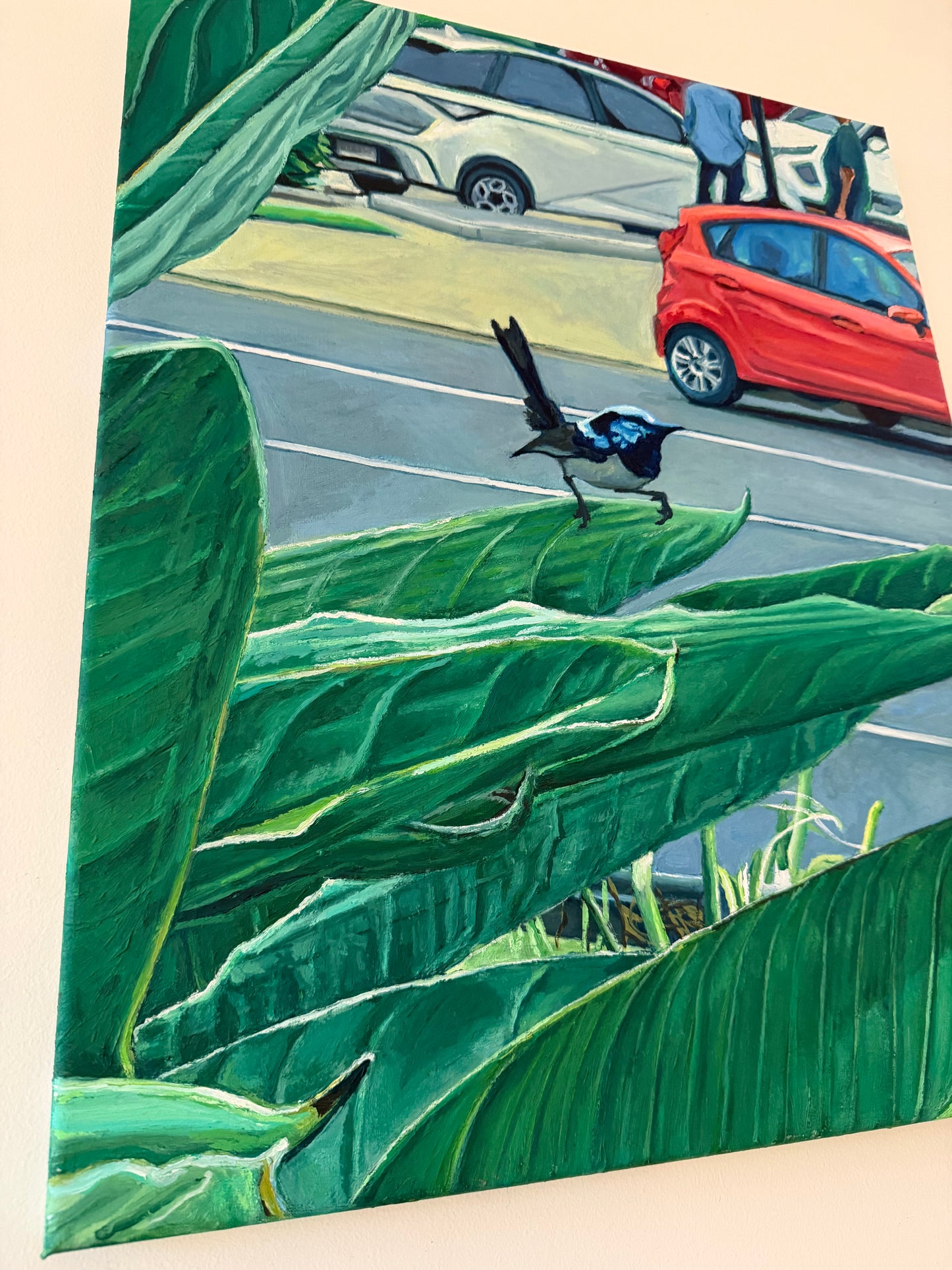 Fairy-wren in car park